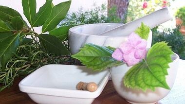 Potentzia handitzeko bitarteko naturalak
